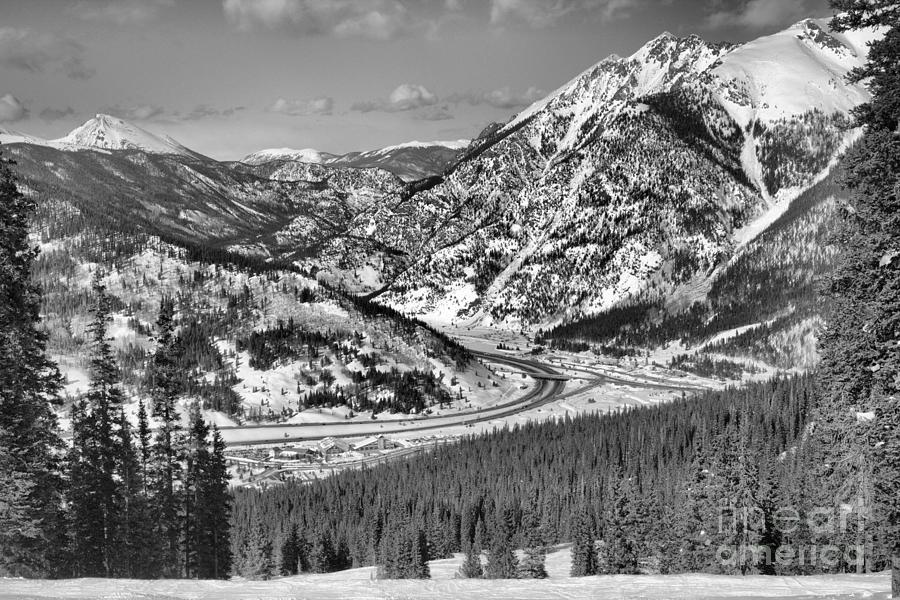 Wheeler Junction Through The Pines Black And White Photograph by Adam Jewell