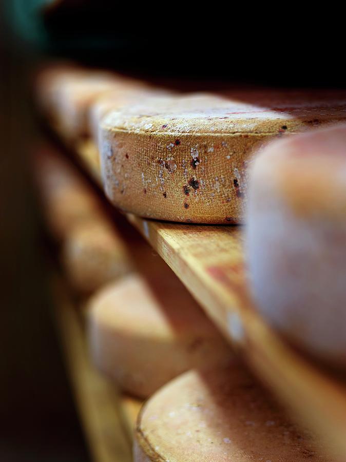 Wheels Of Cheese In A Ripening Chamber vogesen, Alsace Photograph by Frdric Perrin