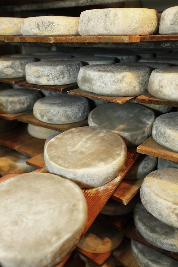 Wheels Of Cheese On A Shelf In A Dairy Photograph by Jean-marc Blache