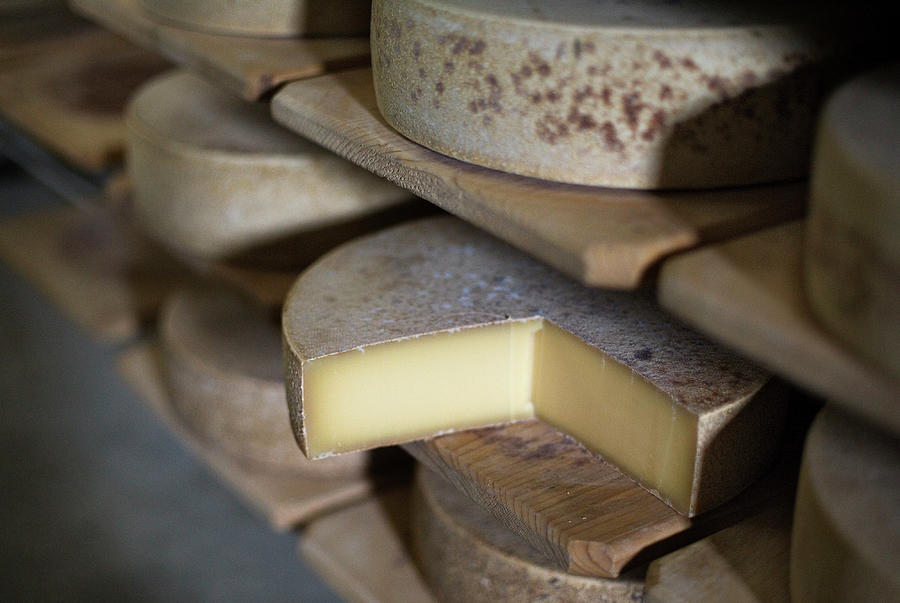 Wheels Of Swiss Mountain Cheese Photograph by Adrian Studer