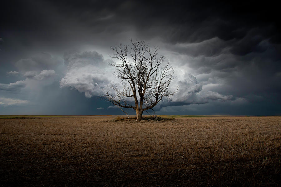 When Dreams Become Reality by Brian Gustafson When Dreams Become Reality by Brian Gustafson