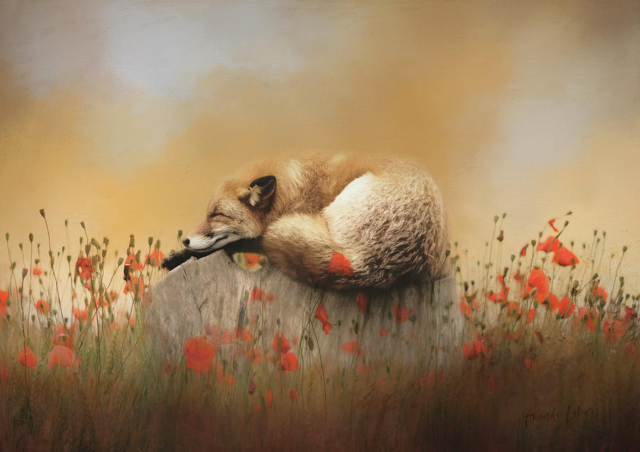 Design Mixed Media - When Foxes Dream by Amanda Jane Design Mixed Media - When Foxes Dream by Amanda Jane