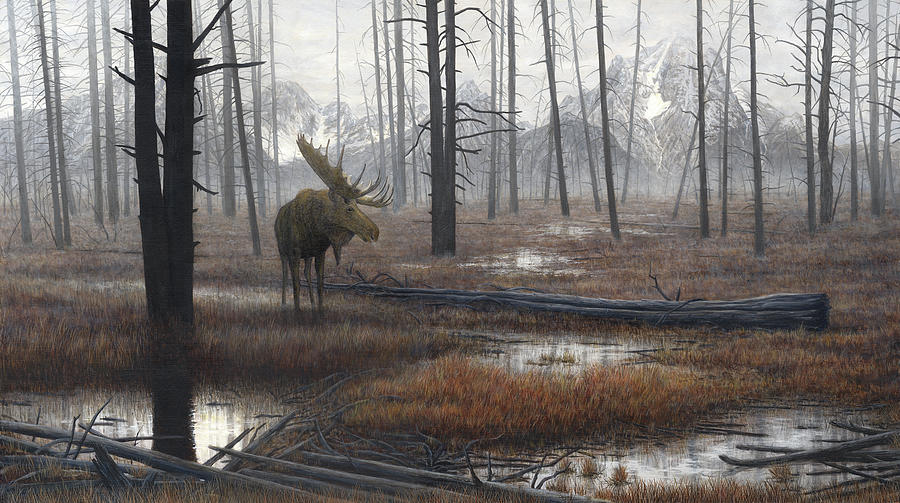 Moose Painting - When God Dreams by John Morrow