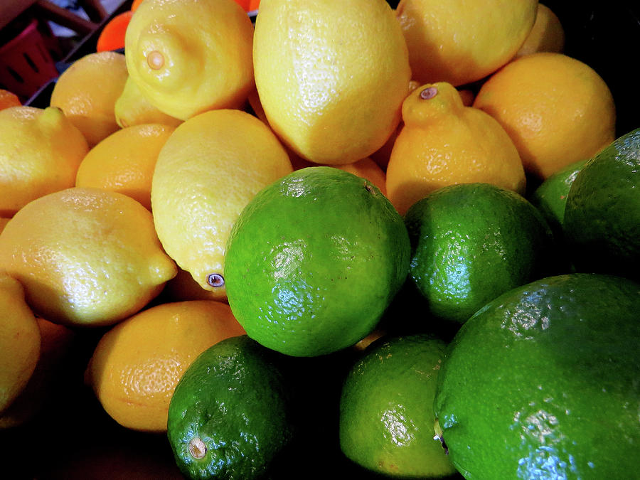 When Life Hands You Lemons and Limes... Photograph by Linda Stern