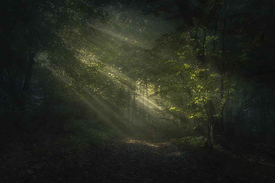 When Light Breaks Through Photograph by Peter Svoboda, Mqep