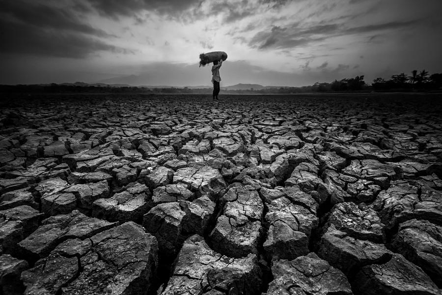 When The Dry Season Comes Photograph by Gunarto Song