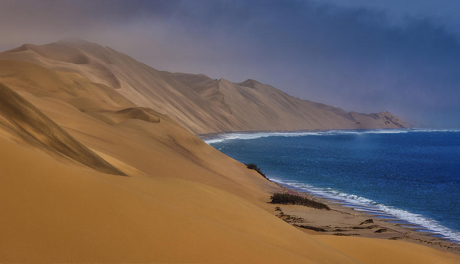 Where Desert Meets The Sea...... Photograph by Michael Zheng