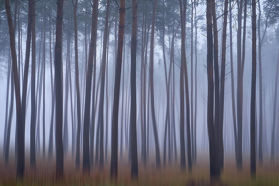 Where dreams inhabit. Horytsya, 2018. by Andriy Maykovskyi Where dreams inhabit. Horytsya, 2018. by Andriy Maykovskyi