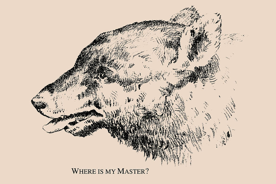 Bear Painting - Where is my Master? by American Puzzle Co.