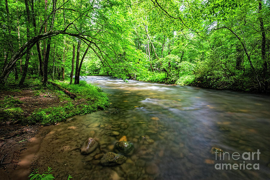 Where My Heart Belongs, River Of Great Smoky Mountains National Park Photograph by Felix Lai