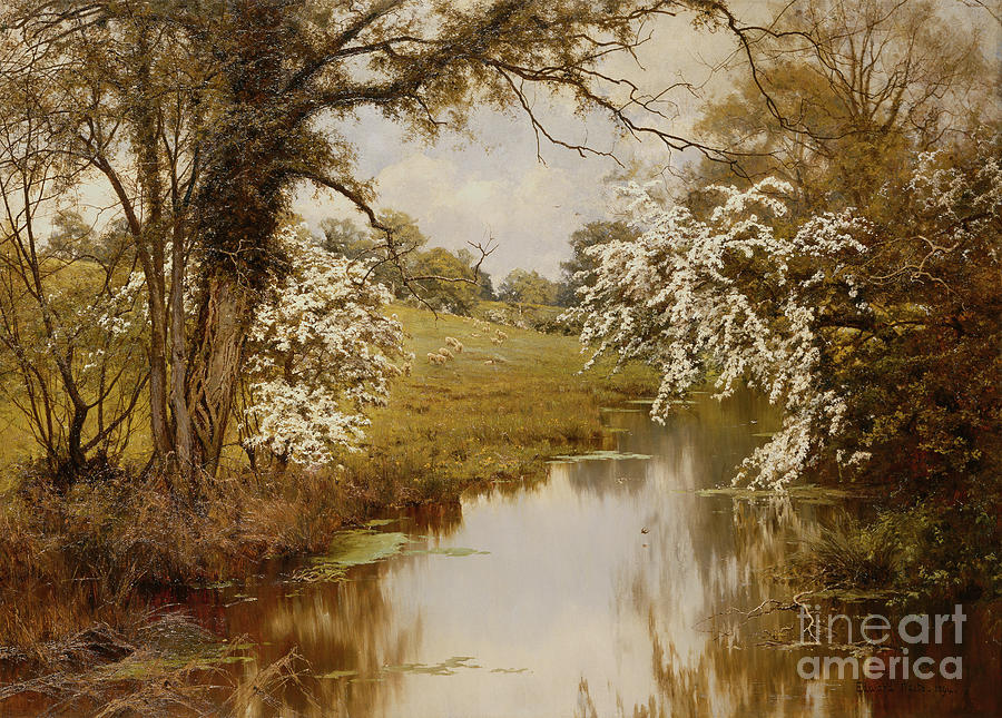 Where Spreading Hawthorns Gaily Bloom Painting by Edward Wilkins Waite