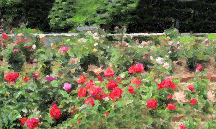Where the Roses Always Bloom Digital Art by David Zimmerman