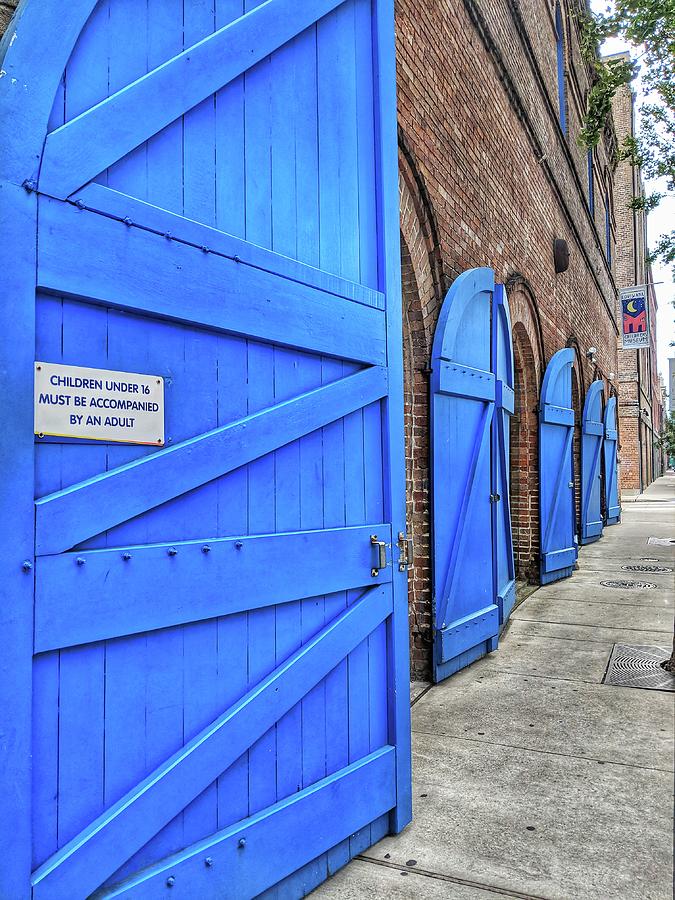 Which Blue Door Photograph by Portia Olaughlin