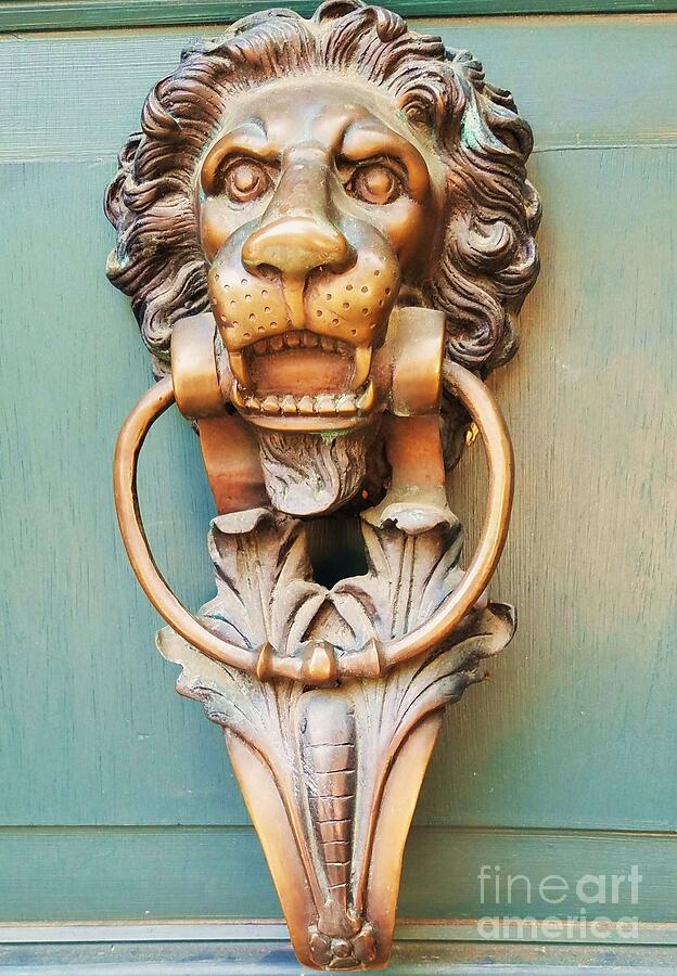 Whimsical Lion Door Knocker Photograph By Marcus Dagan