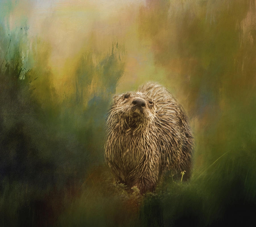 Whimsical Sea Otter Photograph by Marilyn Wilson
