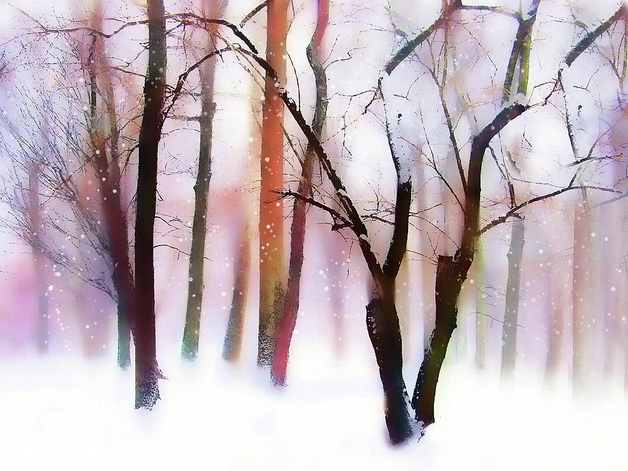 Whimsical Winter with Snow Photograph by Jessica Jenney