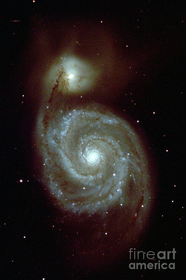 Interacting Galaxies Photograph - Whirlpool Galaxy by National Optical Astronomy Observatories/science Photo Library