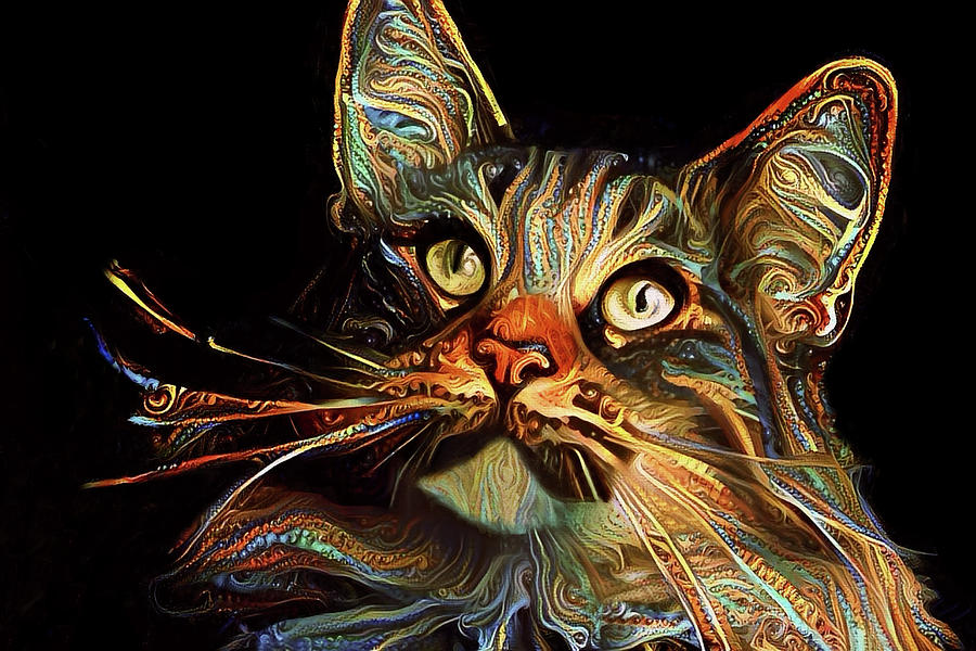 Whiskers the Maine Coon Cat Digital Art by Peggy Collins