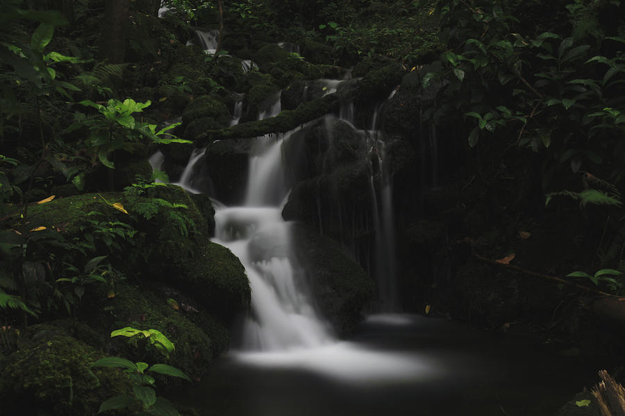 Oahu Photograph - Whisper My Name by Laurie Search Oahu Photograph - Whisper My Name by Laurie Search