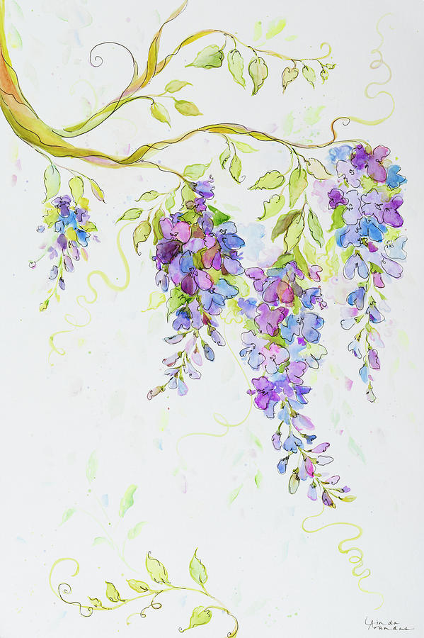 Flower Photograph - Whispering Vines by Linda Arandas