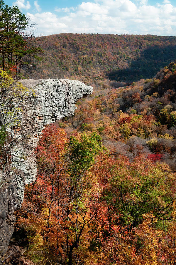 Whitaker Point Photograph by James Barber