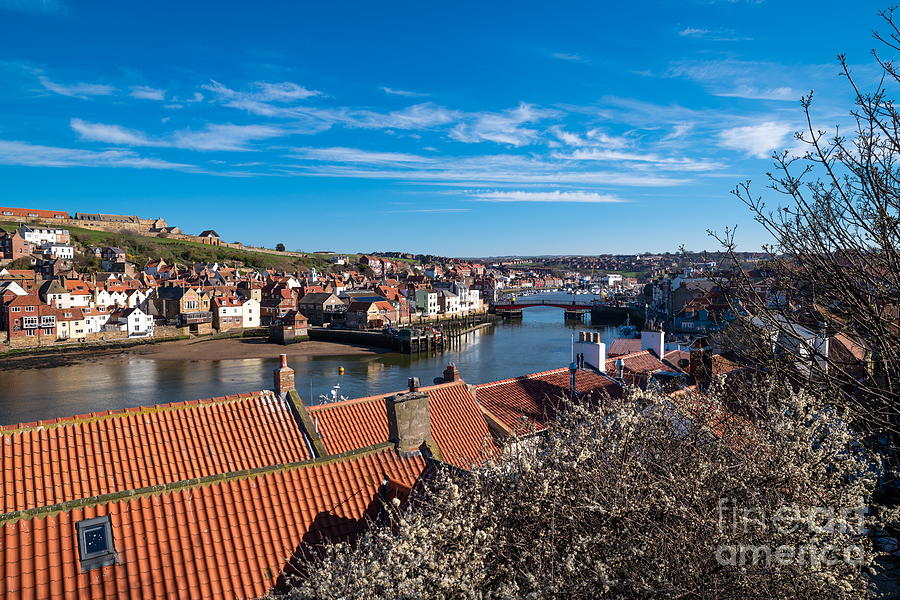 Whitby Harbour Photograph by Richard Pinder