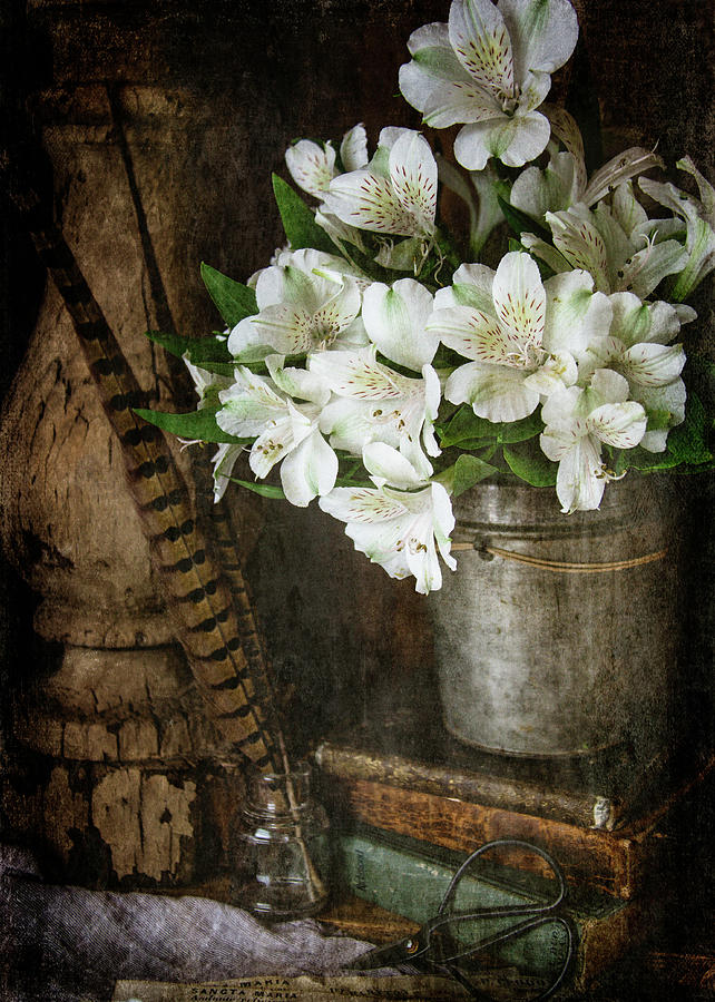 White Alstroemeria Photograph by Cindi Ressler