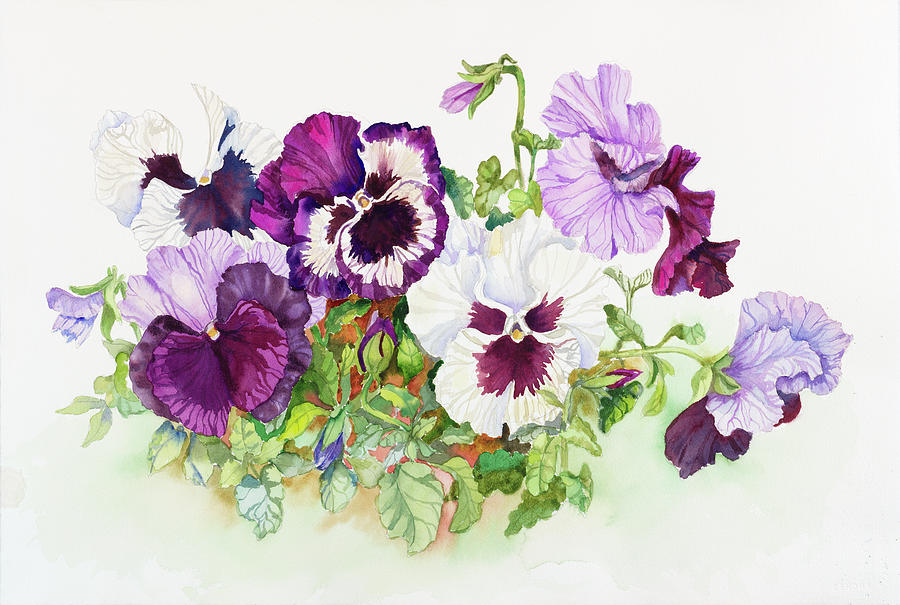 Flower Painting - White And Purple Pansies II by Joanne Porter