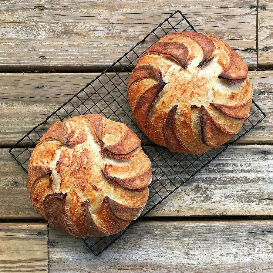 White and Rye Sourdough Swirls Photograph by Amy E Fraser