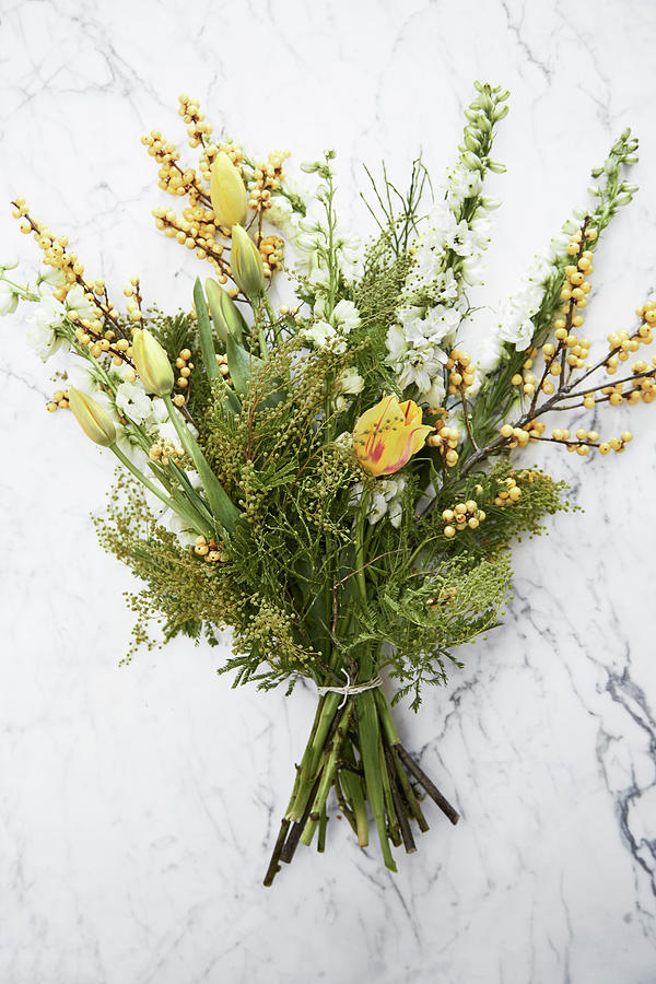 White And Yellow Bouquet Of Tulips, Yellow Berries, Delphiniums And Branches Of Mimosa Photograph by Nicoline Olsen