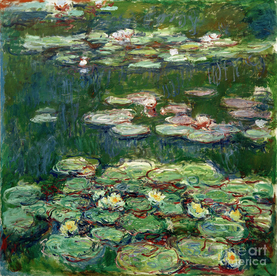 Claude Monet Painting - White and Yellow Waterlilies by Claude Monet