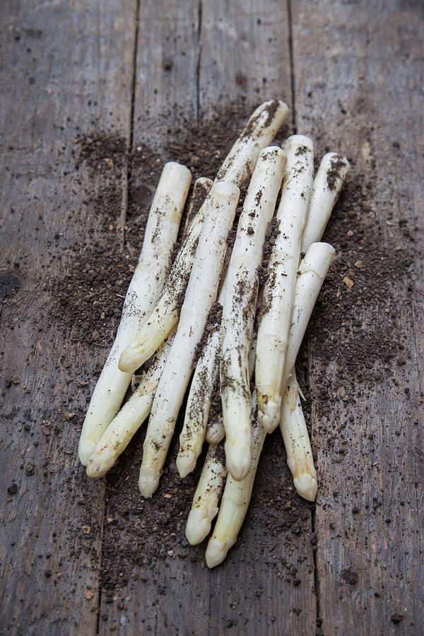 White Asparagus With Soil On A Wooden Background Photograph by Julia Skowronek