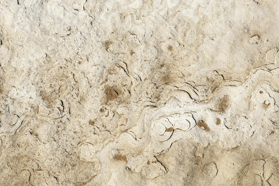 White Background and details from a stone Photograph by Michalakis Ppalis