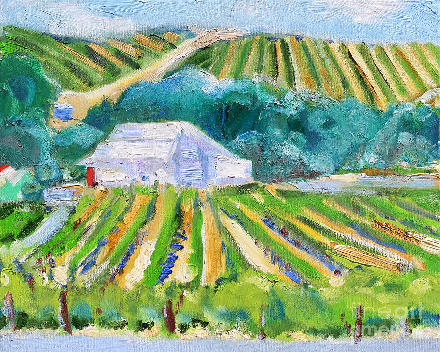 White Barn And Vineyard, Napa Painting by Richard Fox
