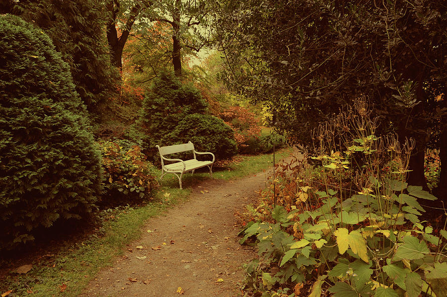 White Bench in Secret Garden 2 Photograph by Jenny Rainbow