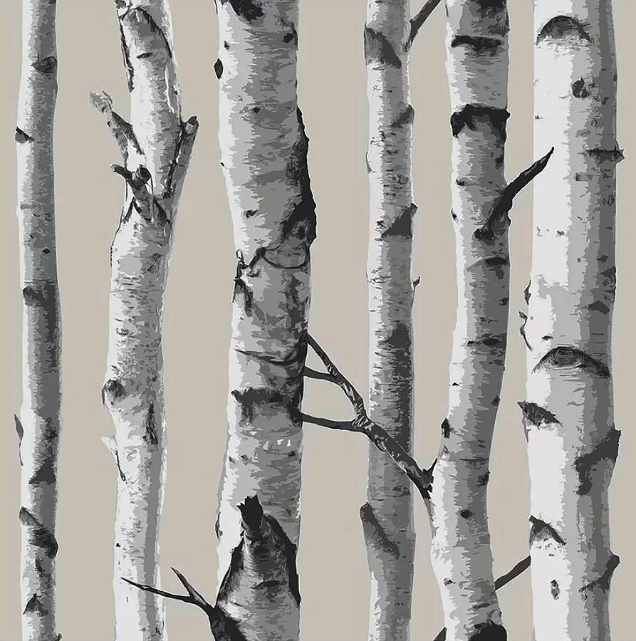 Botanical Painting - White Birch Tree Trunks on Beige by Elaine Plesser.