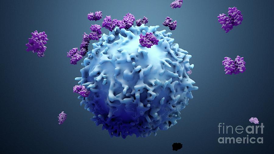 White Blood Cell And Proteins Photograph by Design Cells/science Photo ...