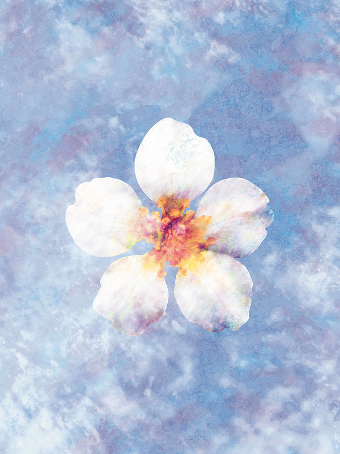 Flowers Still Life Digital Art - White Blossom by Don Bishop