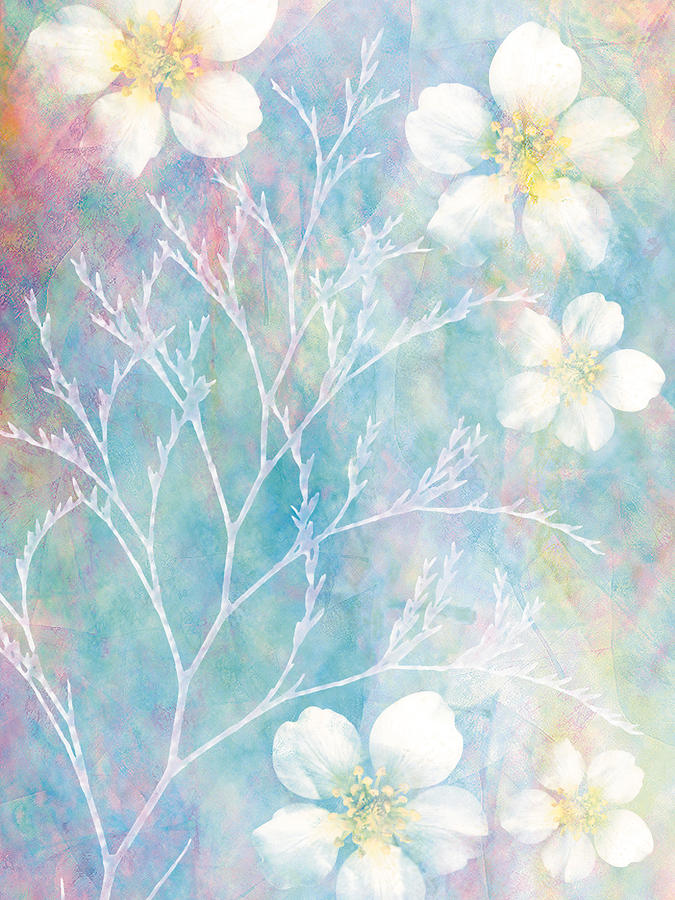 White Blossoms & Plant Digital Art by Don Bishop