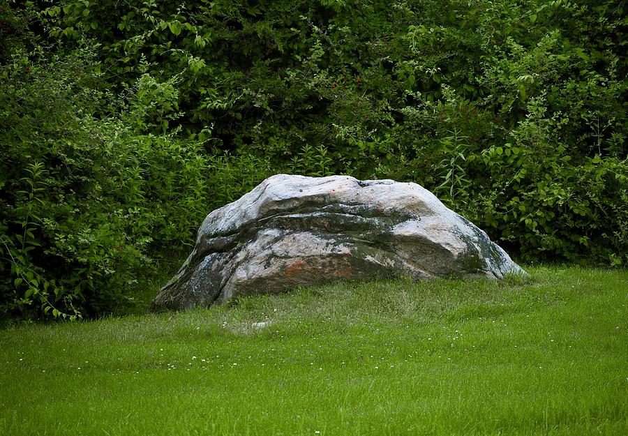 White Boulder In A Green Sea Photograph by Alida M Haslett