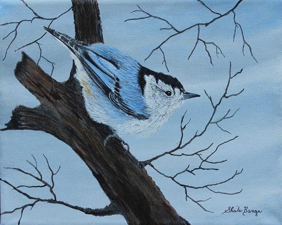 White Breasted Nuthatch Pyrography by Sheila Banga