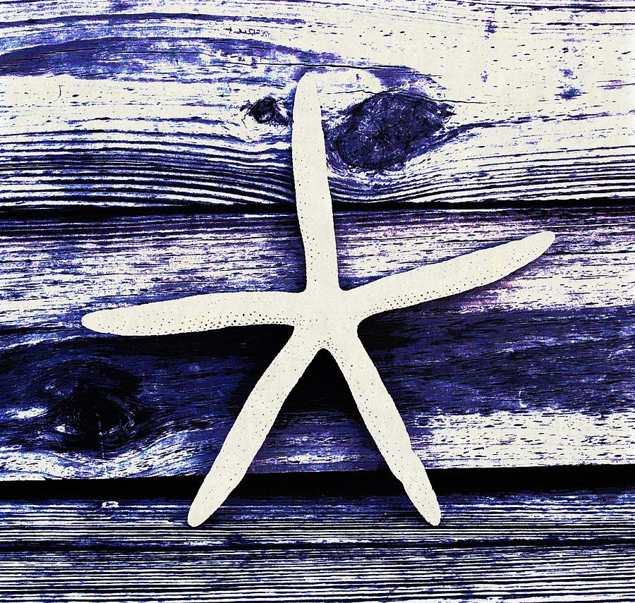 White Brittle Star Photograph by Cathy Lindsey Fine Art America