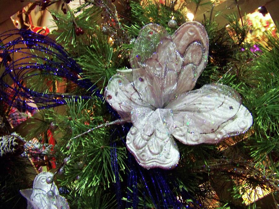 White Butterfly Ornament Photograph by Julie Rauscher