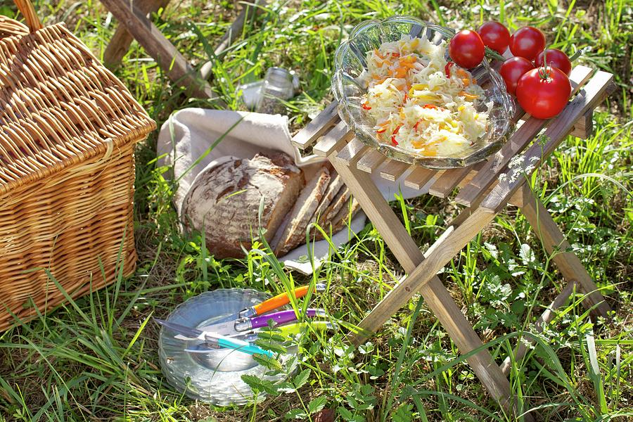 White Cabbage And Carrot Salad In Glass Bowl On Folding Stool Next To Picnic Basket On Green Grass Photograph by Angela Francisca Endress