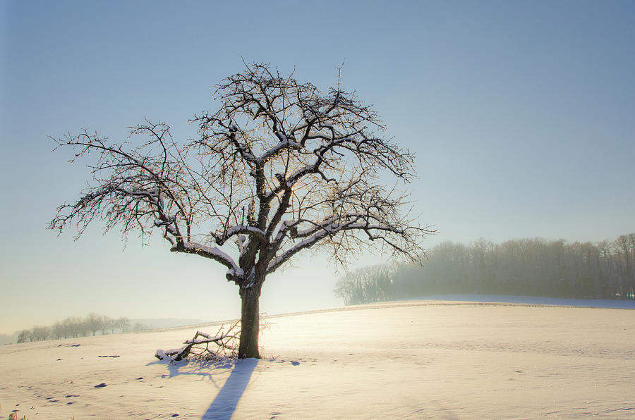 White Calm Photograph by Arnaud Boukalala - Fine Art America