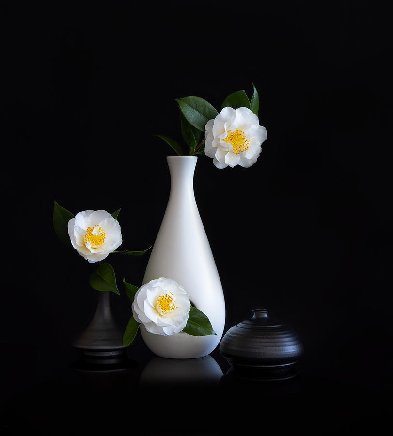 Still Life Photograph - White Camellia by Joanna W