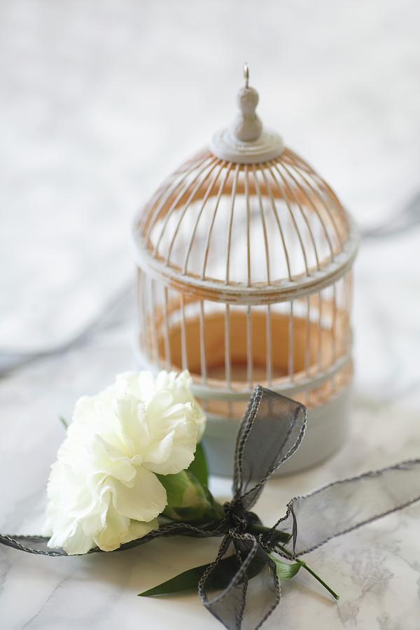 White Carnation Tied With Black Ribbon And Birdcage Ornament On Marble Surface Photograph by Alicja Koll