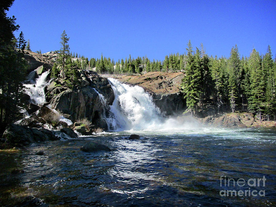 Glen Aulin High Sierra Camp | ppgbbe.intranet.biologia.ufrj.br