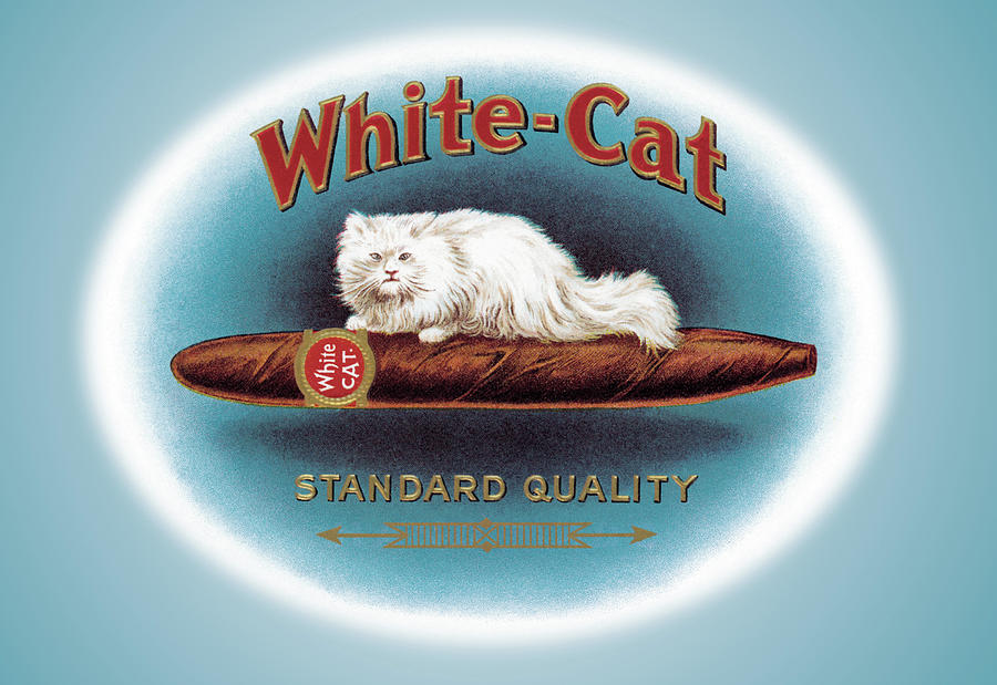 White-Cat Cigars Painting by Unknown - Fine Art America