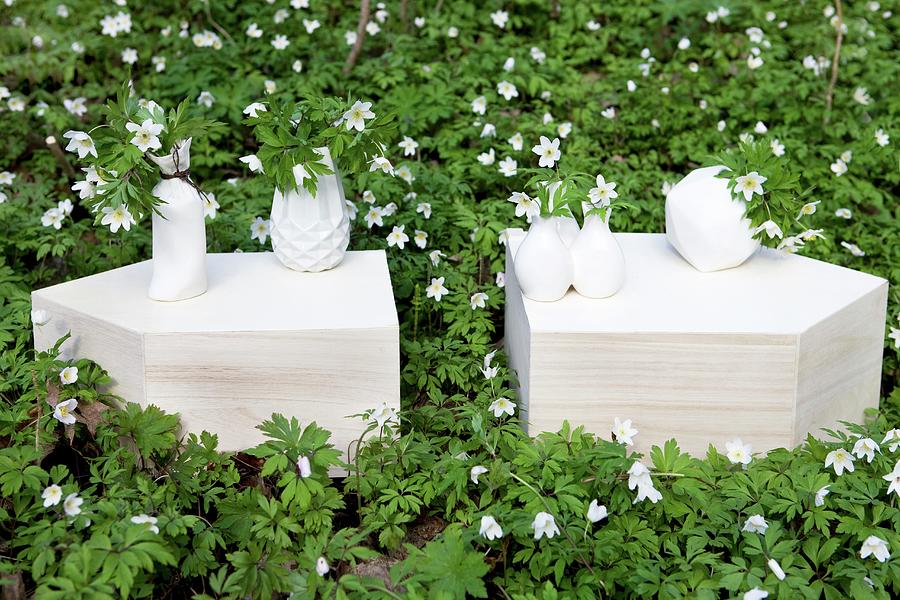 White Ceramic Vases On Cut Stone Blocks Surrounded By Bed Of Wood Anemones Photograph by Annette Nordstrom